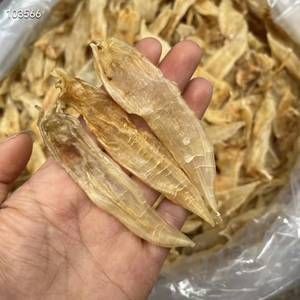 小金龍魚膠好還是雙須魚膠好（小金龍魚膠和雙須魚膠哪個好）