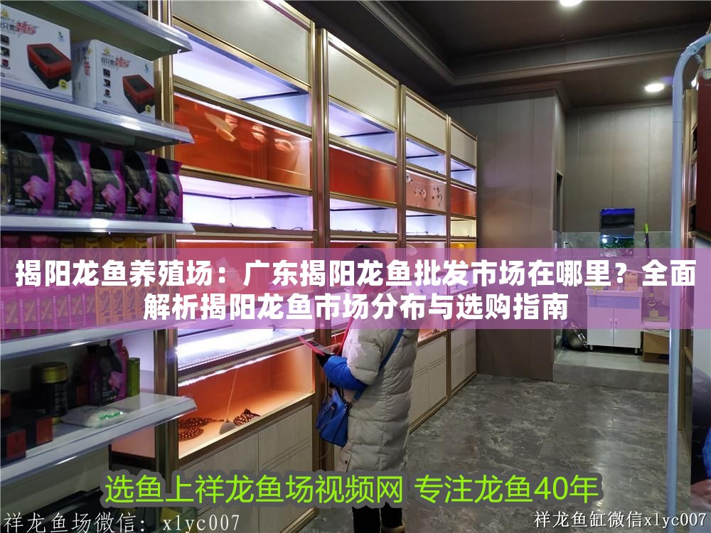 揭陽龍魚養殖場：廣東揭陽龍魚批發市場在哪里？全面解析揭陽龍魚市場分布與選購指南