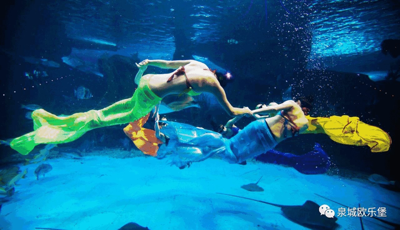 3D水族館動態壁紙2018詳情，高清逼真的海底世界呈現