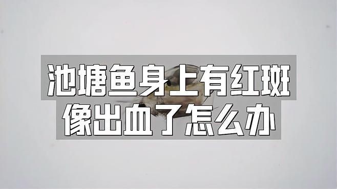 魚身體滲血發紅怎么治療，《魚身體滲血發紅的治療》