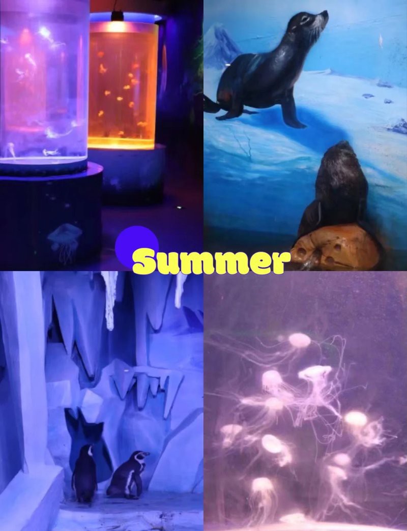 萬州水族店，萬州水族店哪家口碑最好