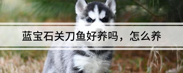 魚匠加熱棒E4/ER故障解析，原因排查與