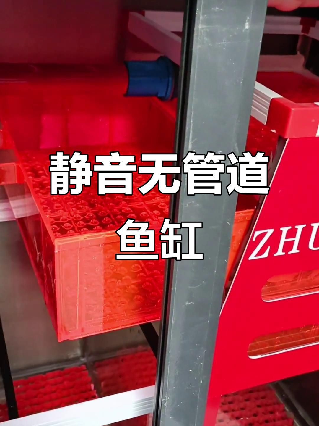 無管件魚缸最建議買嗎，無管件魚缸是否最建議購買