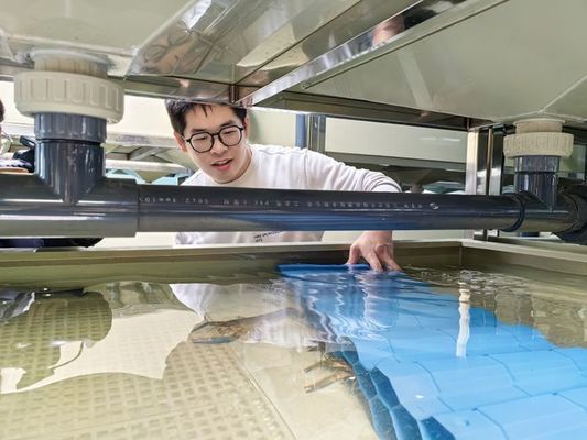 北海魚缸舊貨市場(chǎng)地址在哪里啊 北海水族交易市場(chǎng)