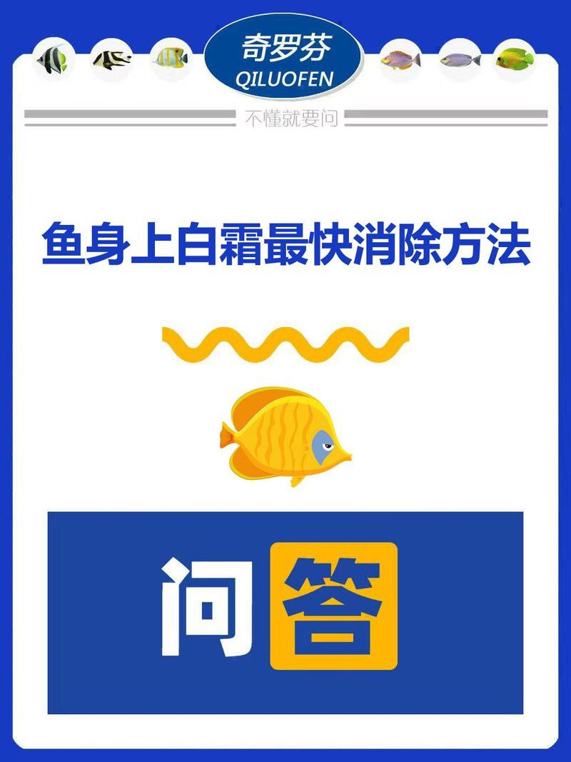 交叉感染后龍魚會自愈嗎？，交叉感染后的龍魚會自愈嗎？