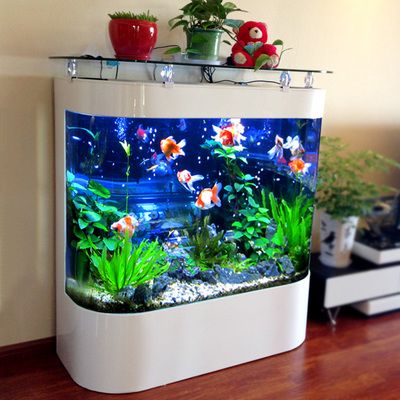 客廳放個小金魚缸好嗎，客廳金魚缸裝飾搭配金魚缸日常養護指南