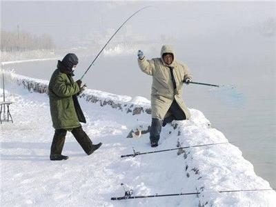 龍魚打架會不會打死自己vs祥龍魚場：祥龍魚場的評價，龍魚打架后的護理方法