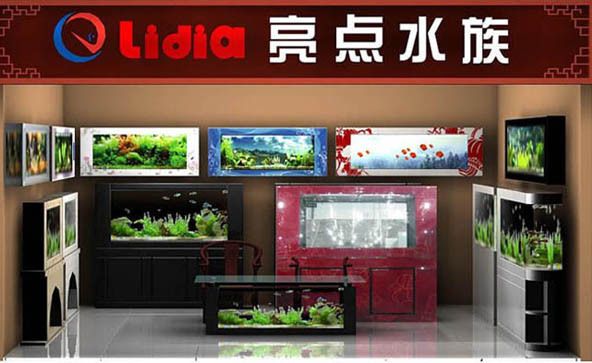 水族館加盟條件及費(fèi)用標(biāo)準(zhǔn)表格圖片（水族館加盟條件及費(fèi)用標(biāo)準(zhǔn)） 水族館加盟條件及費(fèi)用標(biāo)準(zhǔn)表格圖片（水族館加盟條件及費(fèi)用標(biāo)準(zhǔn)） 水族館百科（水族館加盟） 第3張