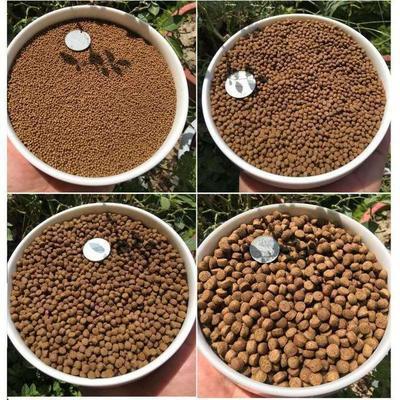 老魚匠加熱棒出現ee(老魚匠加熱棒出現Er)