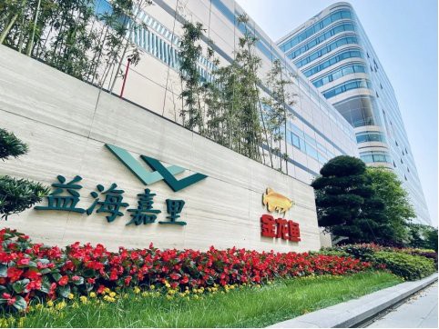 金龍魚在國際市場的布局進展如何？