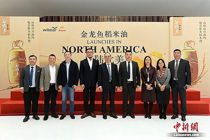 金龍魚在國際市場的布局進展如何？