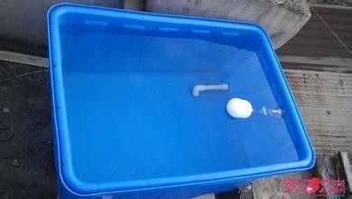 哈爾濱哪里賣魚缸比較好看實(shí)惠的（哈爾濱哪里賣魚缸比較好看實(shí)惠的魚）