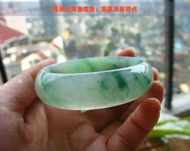 金龍魚藍底過背的寓意，金龍魚中的藍底過背品種具有多重寓意與價值