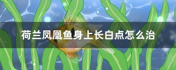 關(guān)于吉印大道站到高淳站要多少時(shí)間的信息