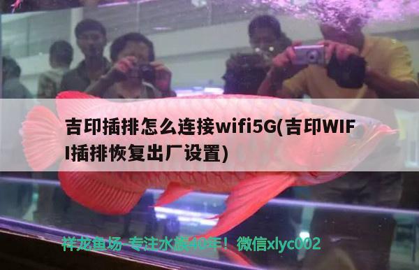 吉印插排怎么連接wifi5G(吉印WIFI插排恢復出廠設置)