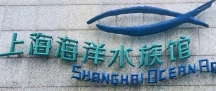水族館買什么的（關于水族館購買的一些重要細節）