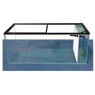 800的魚缸玻璃多厚合適：一個800升的魚缸玻璃厚度選擇合適的玻璃厚度是非常重要的 800的魚缸玻璃多厚合適：一個800升的魚缸玻璃厚度選擇合適的玻璃厚度是非常重要的 魚缸百科 第1張