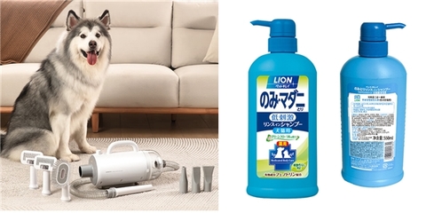 本溪市平山區(qū)天天觀賞魚店