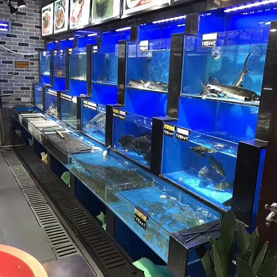 雞西二手魚缸回收電話號碼查詢（雞西二手魚缸回收電話號碼查詢大全） 雞西二手魚缸回收電話號碼查詢（雞西二手魚缸回收電話號碼查詢大全） 元寶鳳凰魚百科 第1張