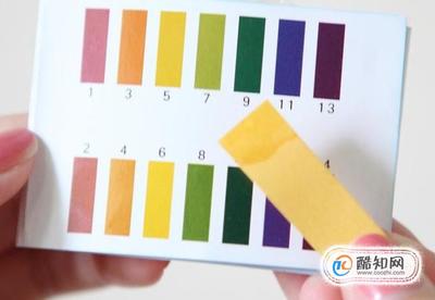 昆明哪里買魚缸最便宜魚及昆明哪里買魚缸最便宜 昆明哪里買魚缸最便宜魚及昆明哪里買魚缸最便宜 九鼎魚缸 第2張