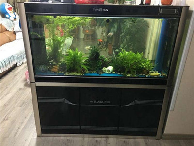 老魚匠水泵控制器怎么用(老魚匠水泵控制器進(jìn)水了怎么辦)