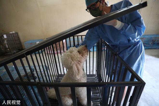 伊罕加熱棒正確使用方法視頻(伊罕加熱棒好在哪里)