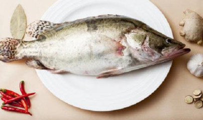 伊罕過濾桶空氣排不干凈，伊罕過濾桶集氣