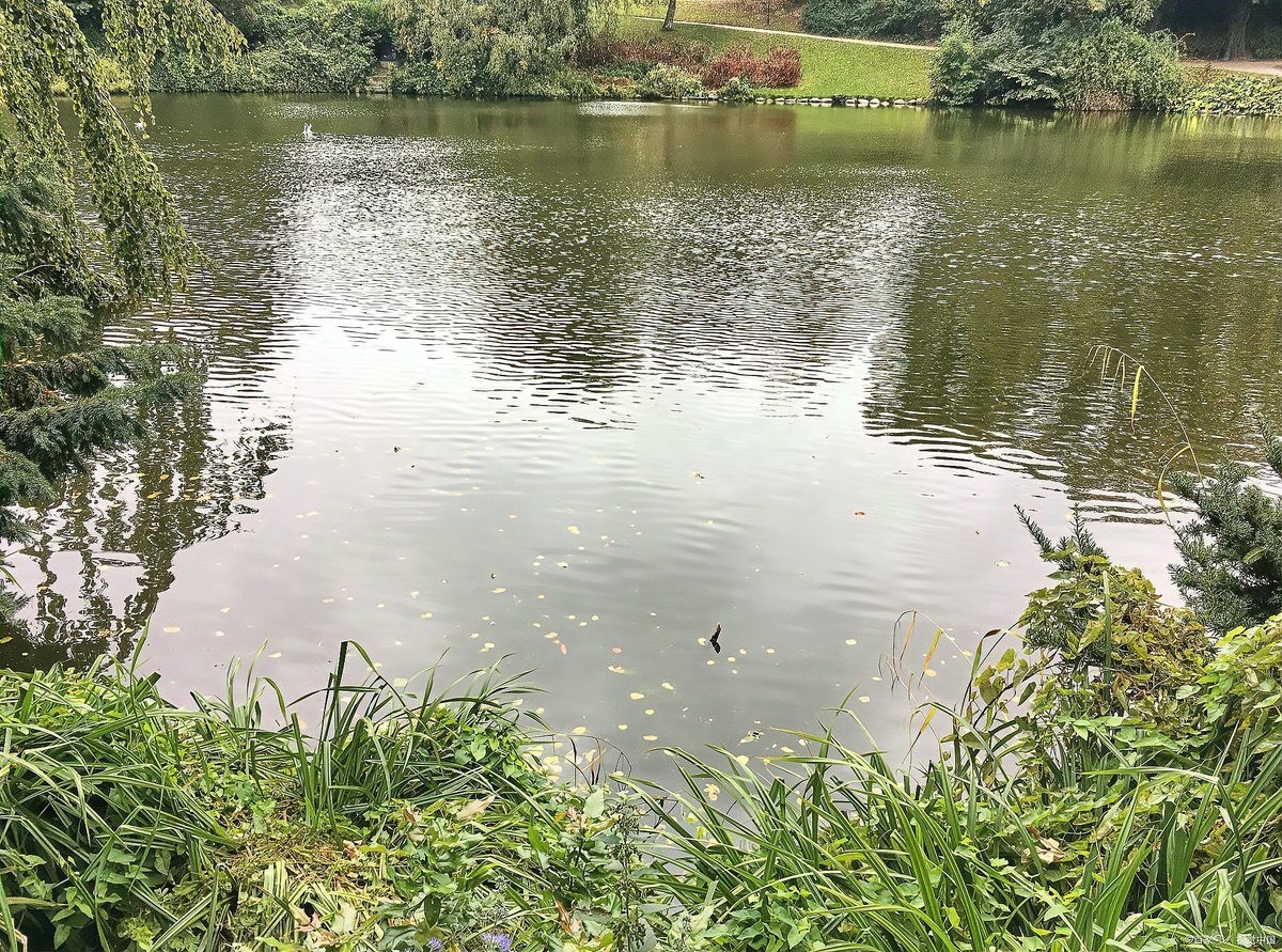 淡水鱸魚(yú)好養(yǎng)嗎，淡水鱸魚(yú)怎么養(yǎng)殖