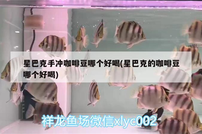 星巴克手沖咖啡豆哪個(gè)好喝(星巴克的咖啡豆哪個(gè)好喝)