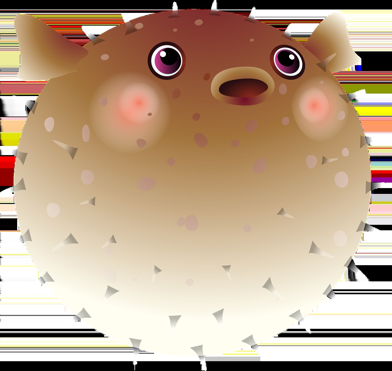 吉印插座怎么連接無線（吉印插座怎么連接無線網絡）