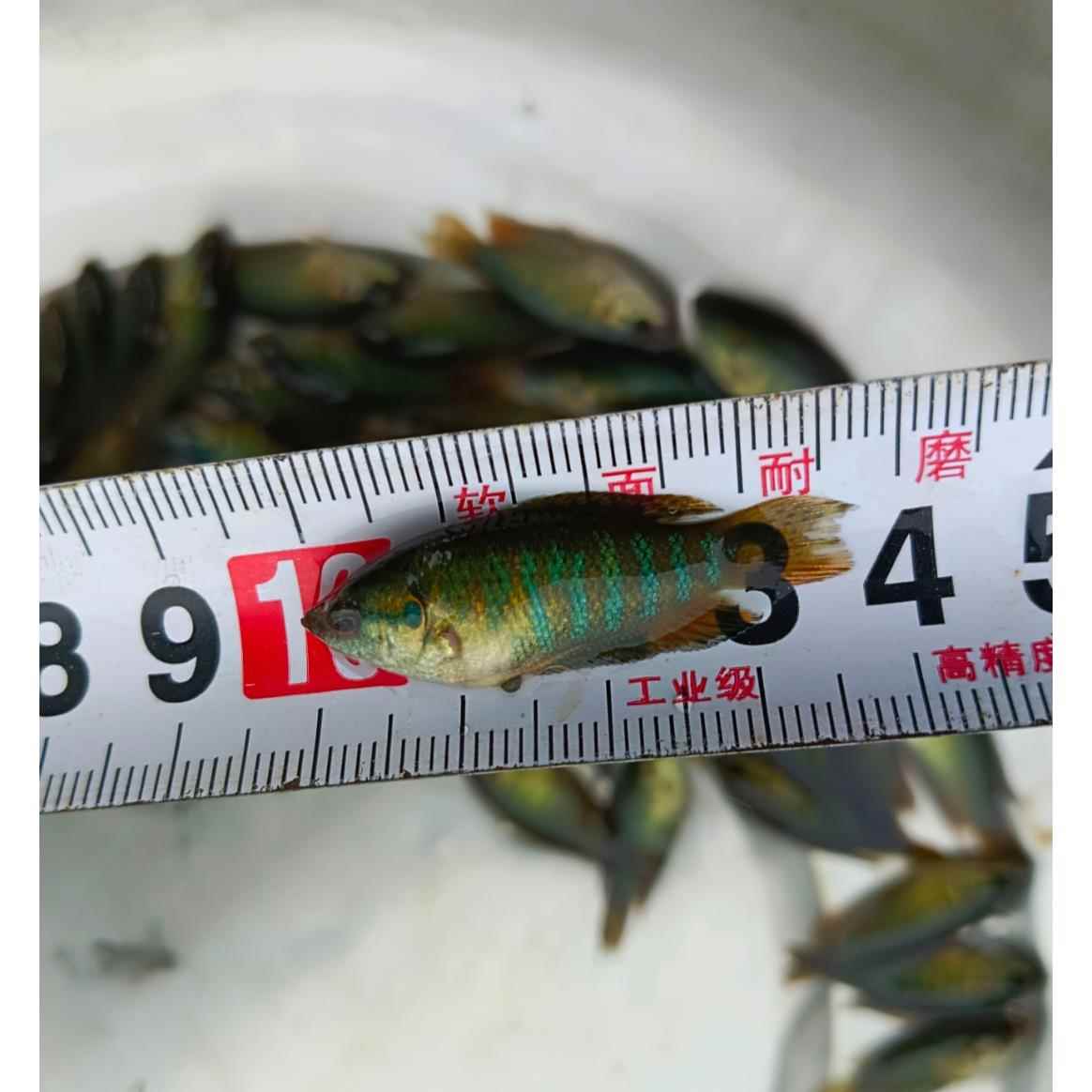伊罕加熱棒溫差三度無法校準(伊罕加熱棒溫差5度)