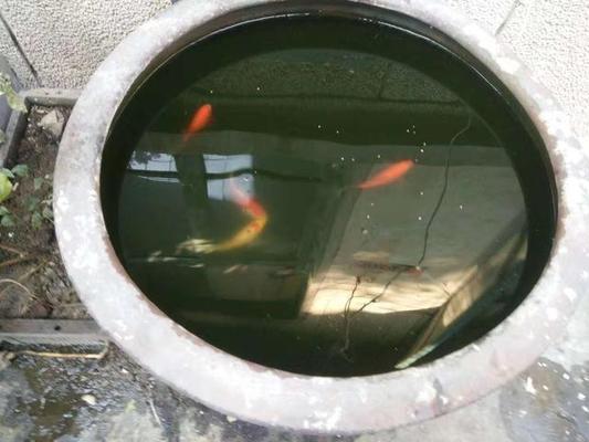 新魚缸造景（魚缸造景假山）