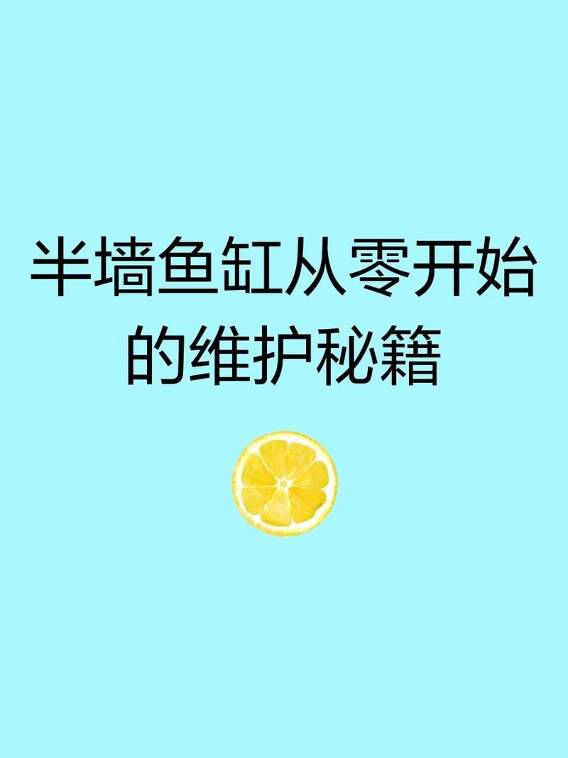 鄭州魚(yú)缸維護(hù)，鄭州魚(yú)缸專(zhuān)業(yè)維護(hù)全攻略 鄭州魚(yú)缸維護(hù)，鄭州魚(yú)缸專(zhuān)業(yè)維護(hù)全攻略 全國(guó)水族館企業(yè)名錄 第3張