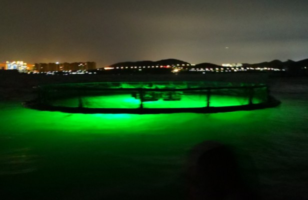 伊罕石英球硬水嗎(伊罕石英球用多久會跌酸) 伊罕石英球硬水嗎(伊罕石英球用多久會跌酸) 伊罕水族 第2張