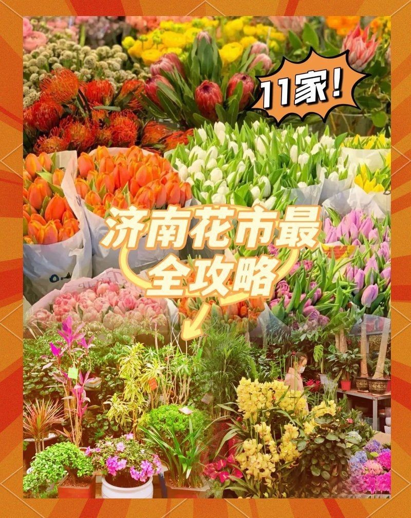 濟南水族批發市場，濟南柏寧水族批發市場