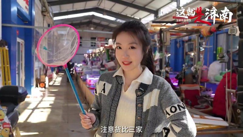 濟南水族批發市場，濟南柏寧水族批發市場