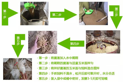 龍魚對溫度的要求 龍魚對溫度的要求 龍魚百科 第3張