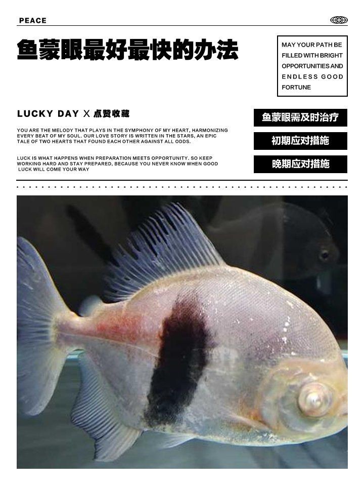 魚蒙眼最好最快的辦法，魚患“蒙眼”怎么辦