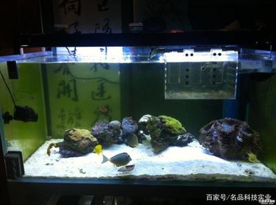 張家口魚缸底柜廠家電話多少（張家口定做魚缸廠家） 張家口魚缸底柜廠家電話多少（張家口定做魚缸廠家） 九鼎魚缸 第2張