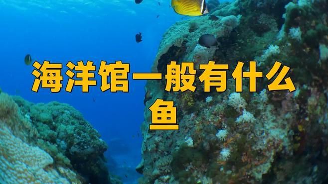 水族館特色魚種，十種特點最明顯的觀賞魚，看看你養過幾種雷龍魚,孔雀魚,鱷雀鱔
