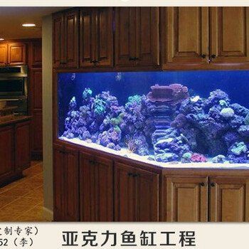 徐州魚缸批發(fā)市場(chǎng)，徐州魚缸批發(fā)市場(chǎng)是當(dāng)?shù)丶爸苓叺貐^(qū)重要水族產(chǎn)品集散地