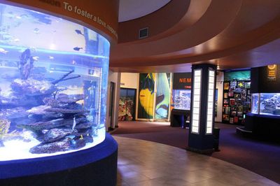 水族館哪里的比較好玩中國：中國水族館推薦