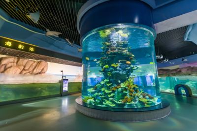 水族館哪里的比較好玩中國(guó)：中國(guó)水族館推薦