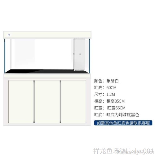 馬印超白龍魚缸專業(yè)龍魚缸12米15米18米2米大中小型龍魚缸 馬印水族 第10張 馬印超白龍魚缸專業(yè)龍魚缸12米15米18米2米大中小型龍魚缸 馬印超白龍魚缸專業(yè)龍魚缸12米15米18米2米大中小型龍魚缸 馬印水族 第10張