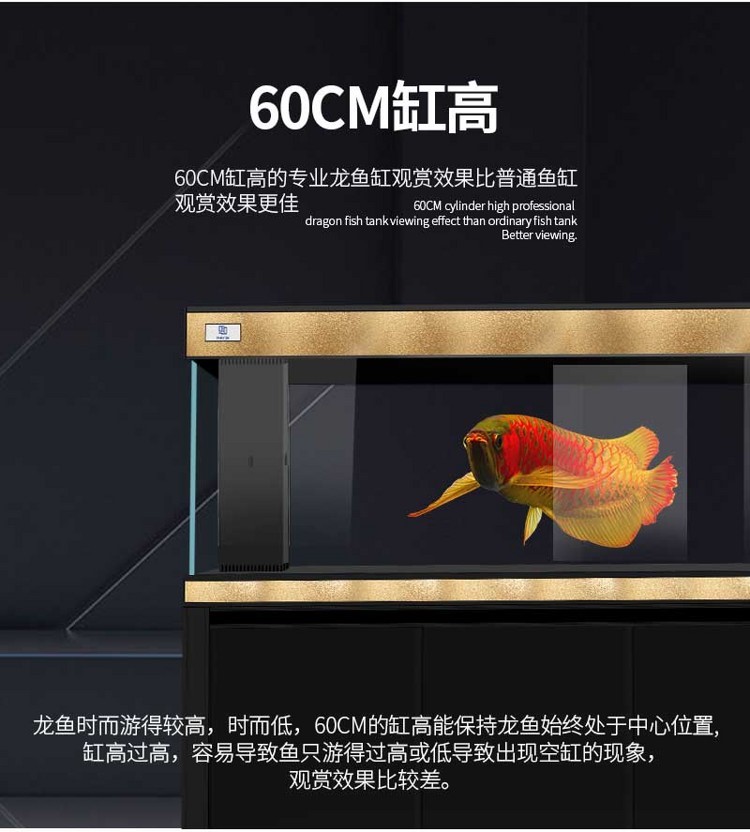 馬印超白龍魚缸專業(yè)龍魚缸12米15米18米2米大中小型龍魚缸 馬印水族 第49張 馬印超白龍魚缸專業(yè)龍魚缸12米15米18米2米大中小型龍魚缸 馬印超白龍魚缸專業(yè)龍魚缸12米15米18米2米大中小型龍魚缸 馬印水族 第49張