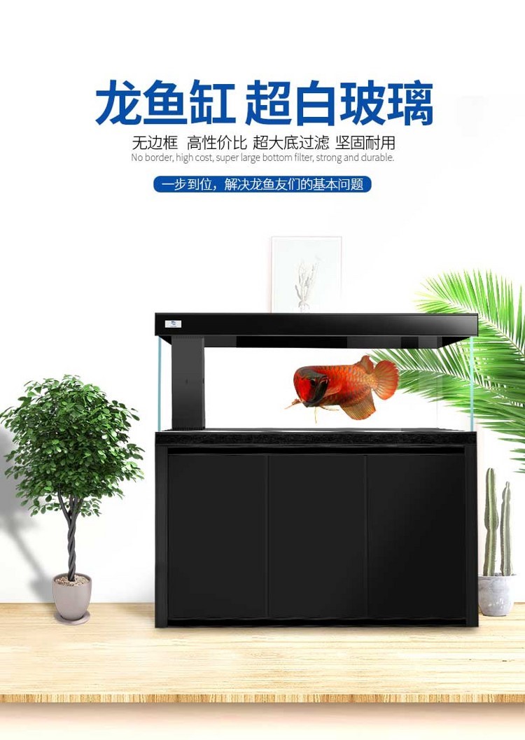 馬印超白龍魚缸專業(yè)龍魚缸12米15米18米2米大中小型龍魚缸 馬印水族 第43張 馬印超白龍魚缸專業(yè)龍魚缸12米15米18米2米大中小型龍魚缸 馬印超白龍魚缸專業(yè)龍魚缸12米15米18米2米大中小型龍魚缸 馬印水族 第43張