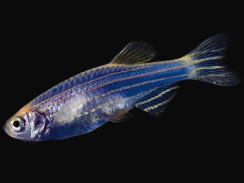 水族館好玩嗎知乎：三亞水族館游玩攻略
