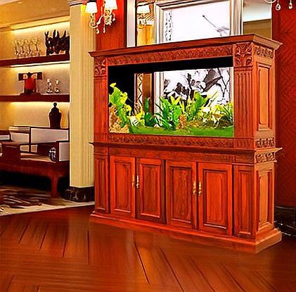 湖州魚缸維護(hù)【湖州地區(qū)魚缸科學(xué)維護(hù)全攻略】