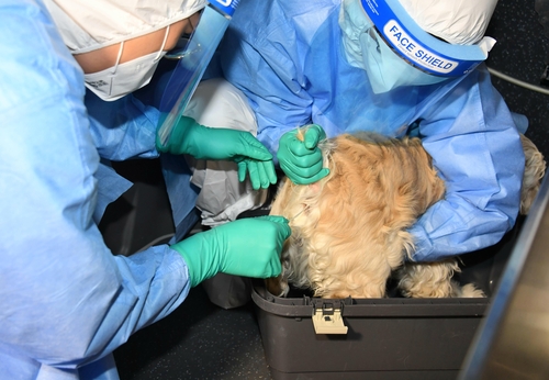 老魚匠加熱棒壽命多少年(老魚匠加熱棒壽命多少年啊)