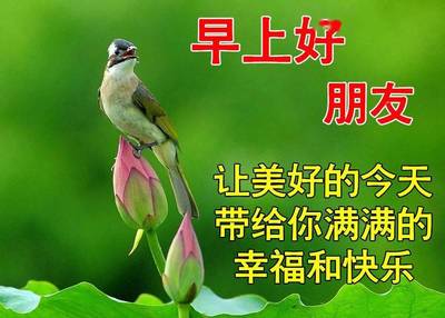 十大最漂亮的錦鯉圖，色彩斑斕的游動藝術，十大最漂亮的錦鯉圖，色彩斑斕的游動藝術